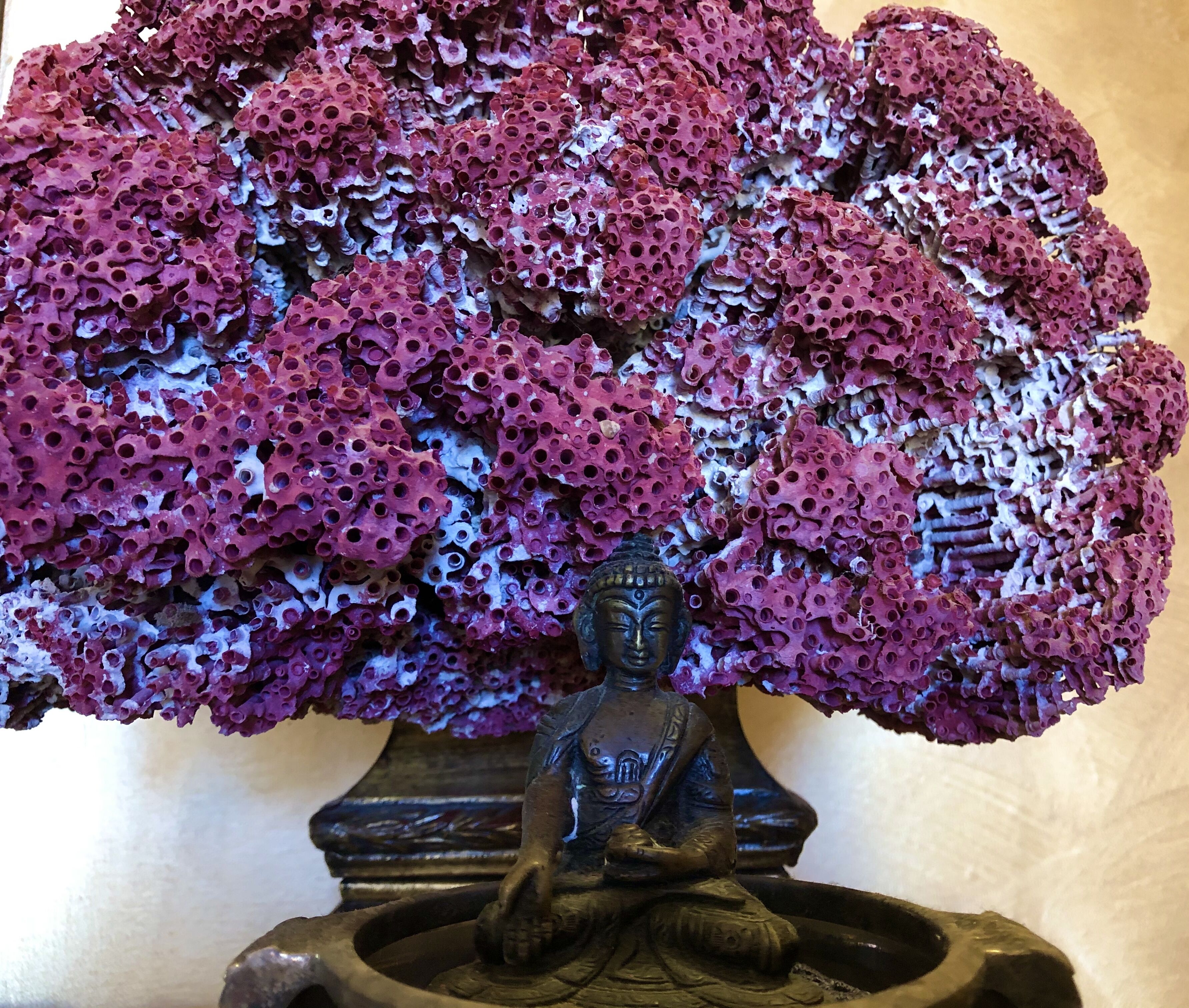 Foto - Hotel De La Ville Relais