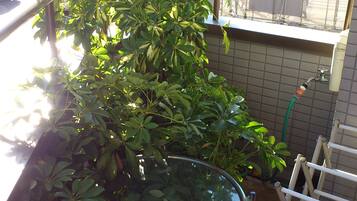 Economy Room, Multiple Bedrooms, Non Smoking | Free WiFi, bed sheets