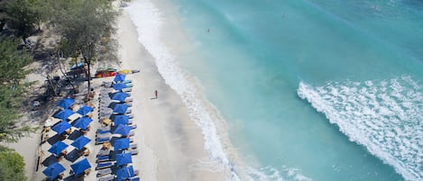 Vue sur la plage/l’océan