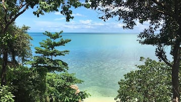 A tropical beach with clear turquoise water and lush greenery framing the view.