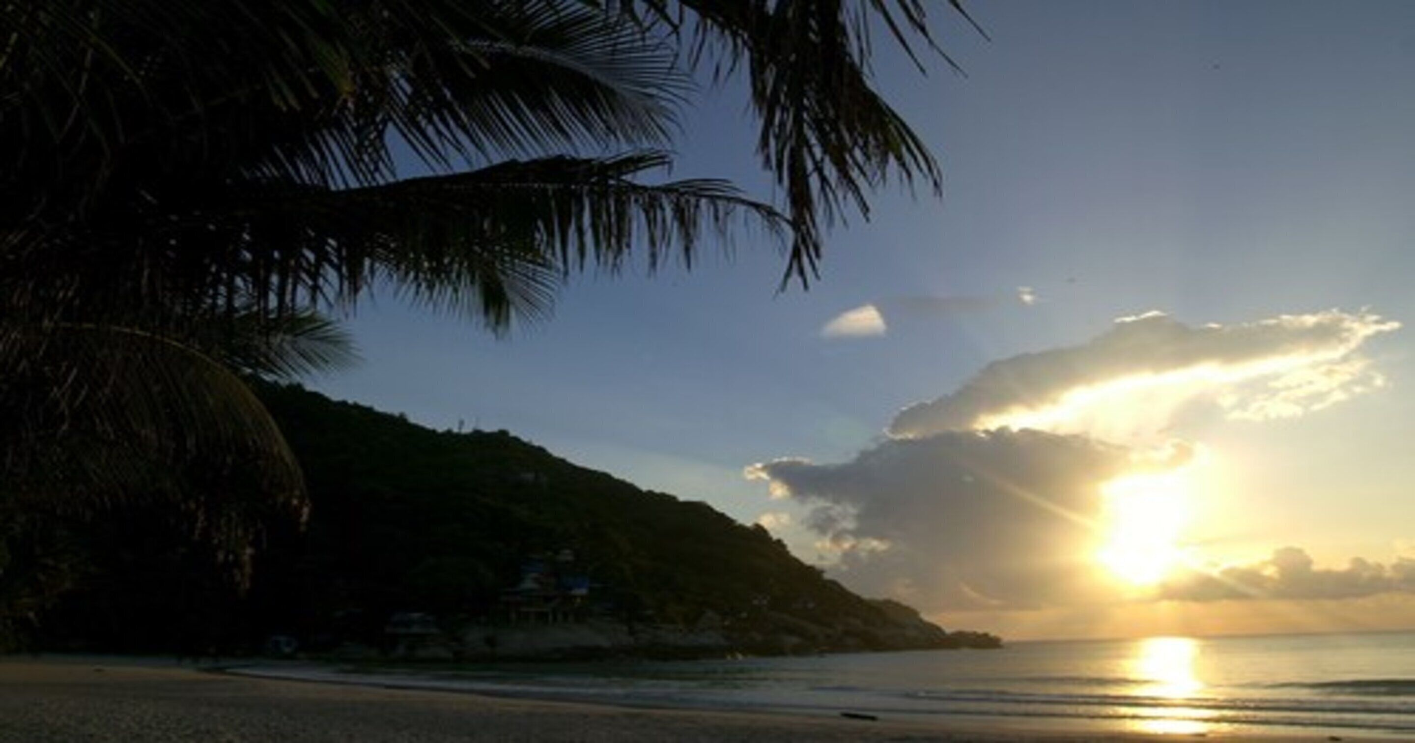 A beach with a sunset, palm trees, and a hilly landscape.
