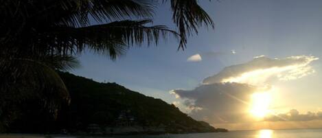 A beach with a sunset, palm trees, and a hilly landscape.
