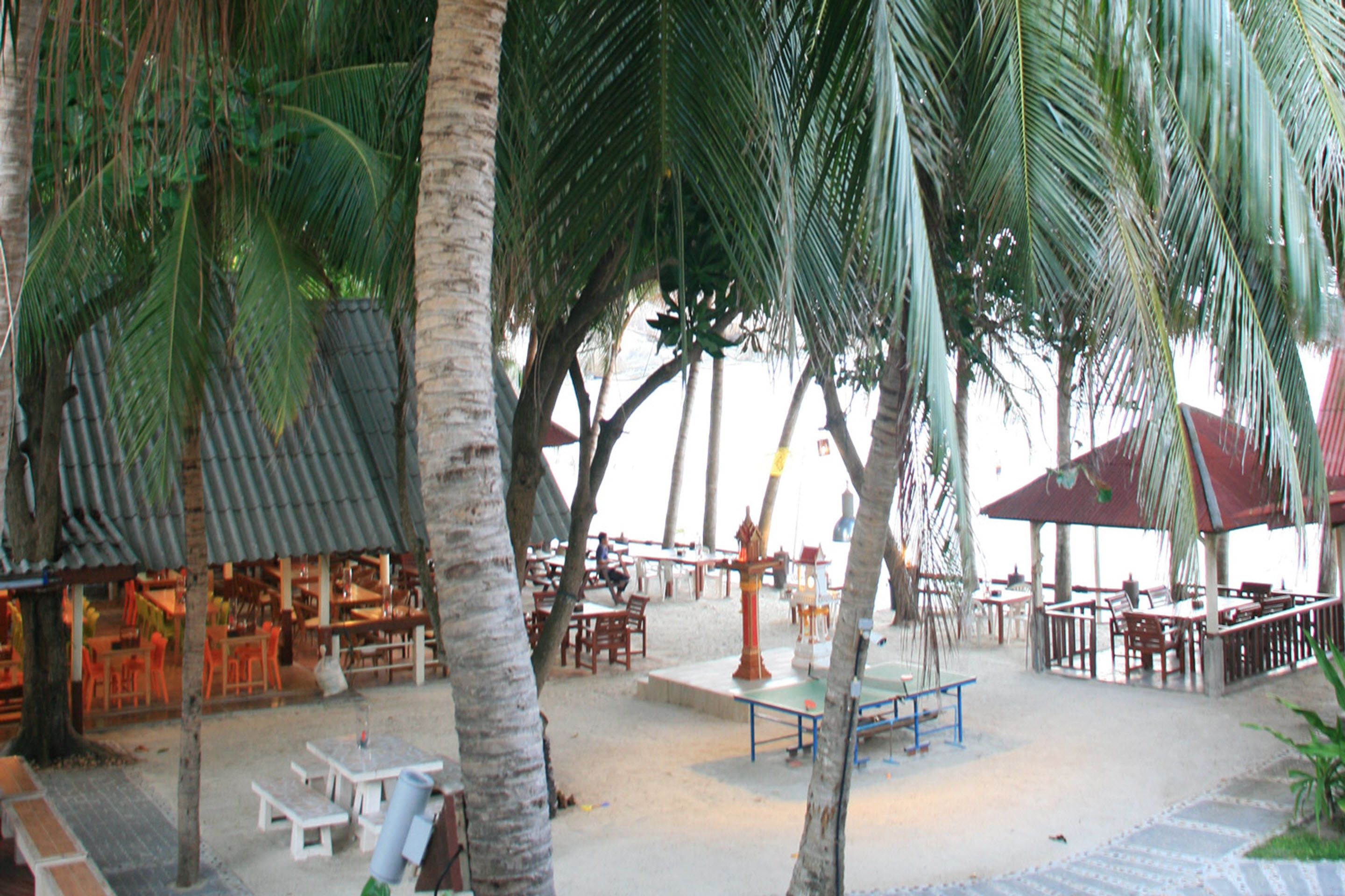 An outdoor seating area with tables and chairs, surrounded by palm trees.