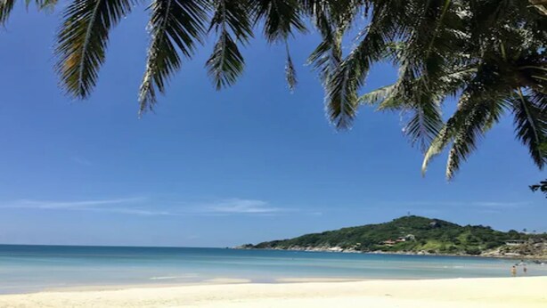 A beach with clear skies, palm trees, and a distant hill.