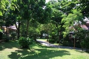 Un jardin luxuriant avec un sentier menant à un bâtiment.