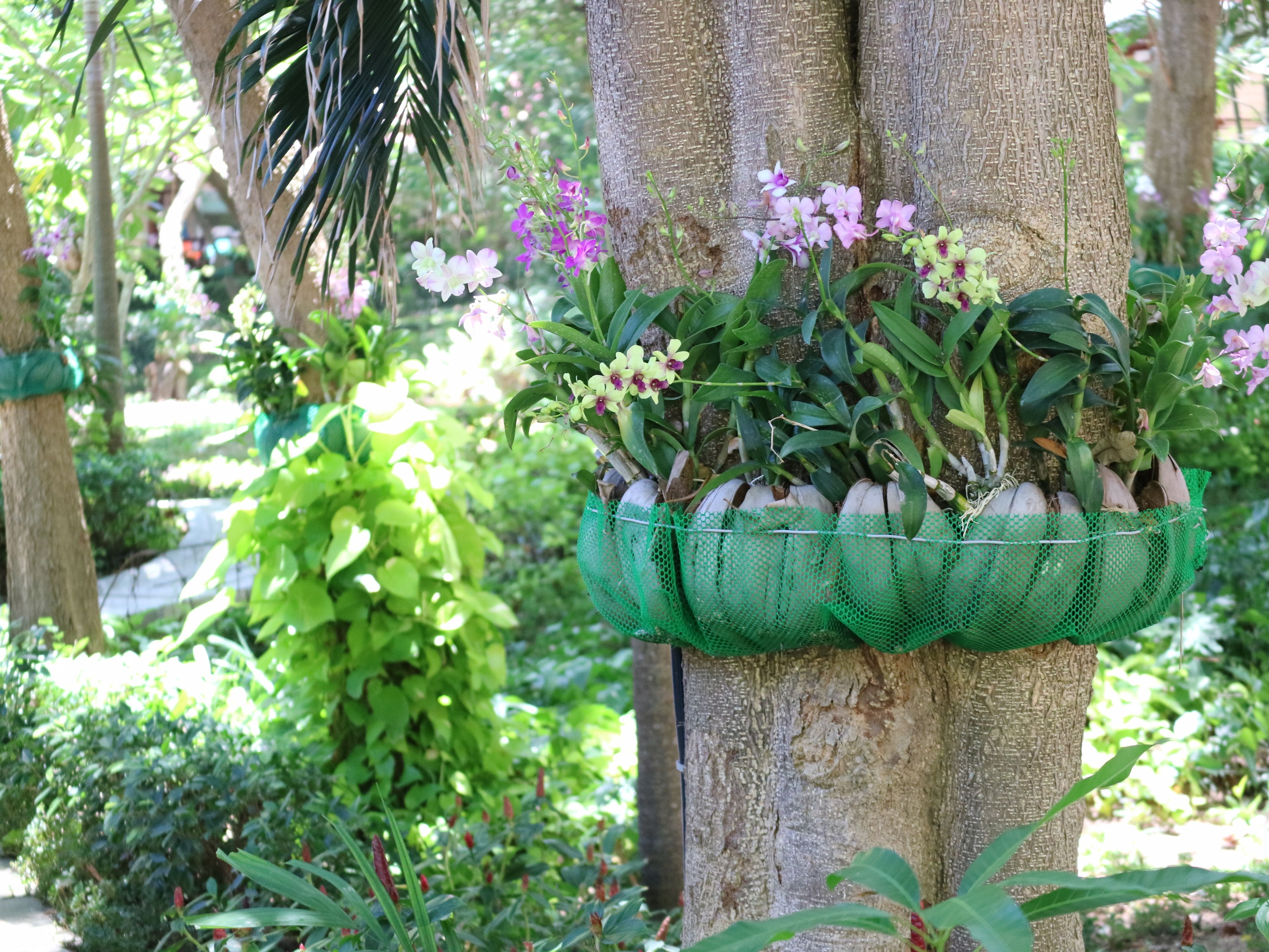 Un portavaso a forma di orchidea sospeso su un tronco d'albero in un giardino.