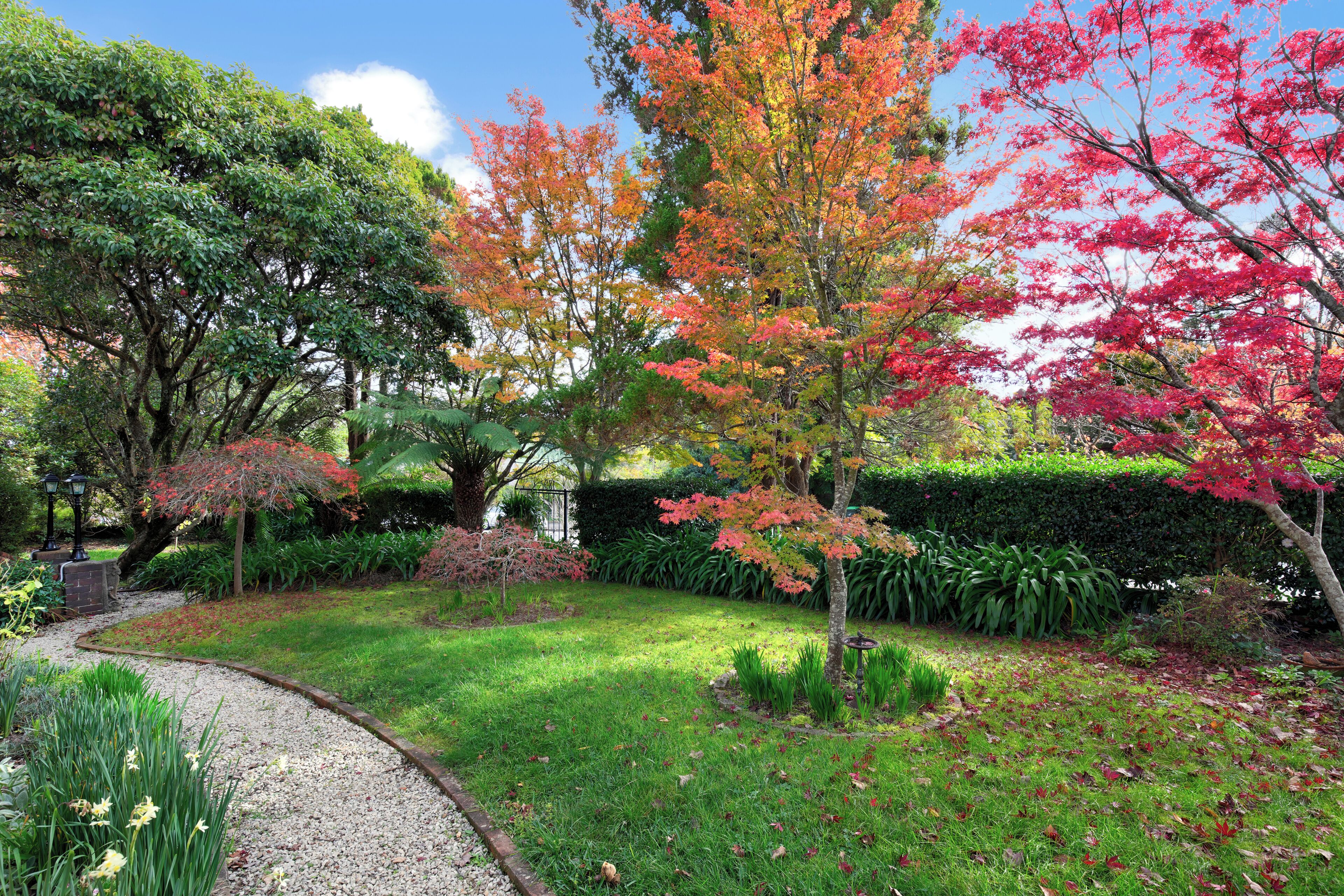 Un jardin avec un chemin de gravier, différents arbres et une pelouse bien entretenue.