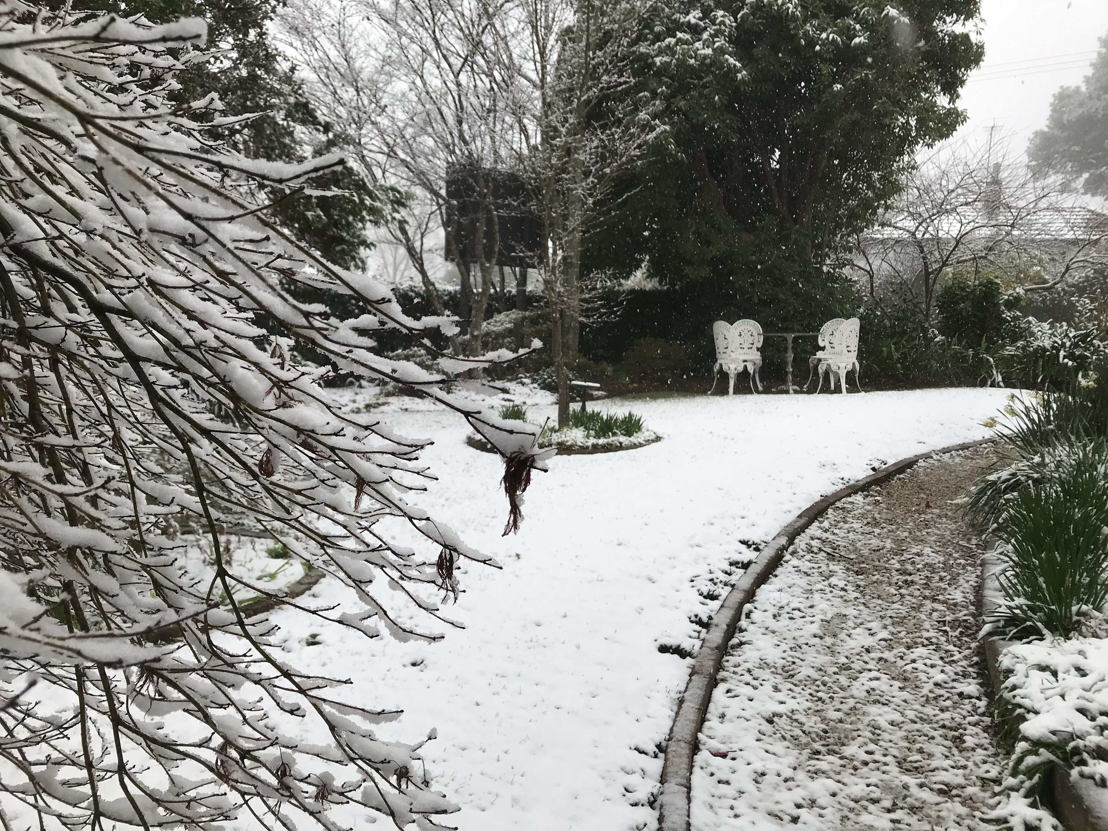 Ein verschneiter Gartenweg mit Bänken und Bäumen.