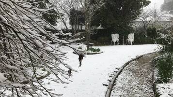 Ein verschneiter Gartenweg mit Bänken und Bäumen.