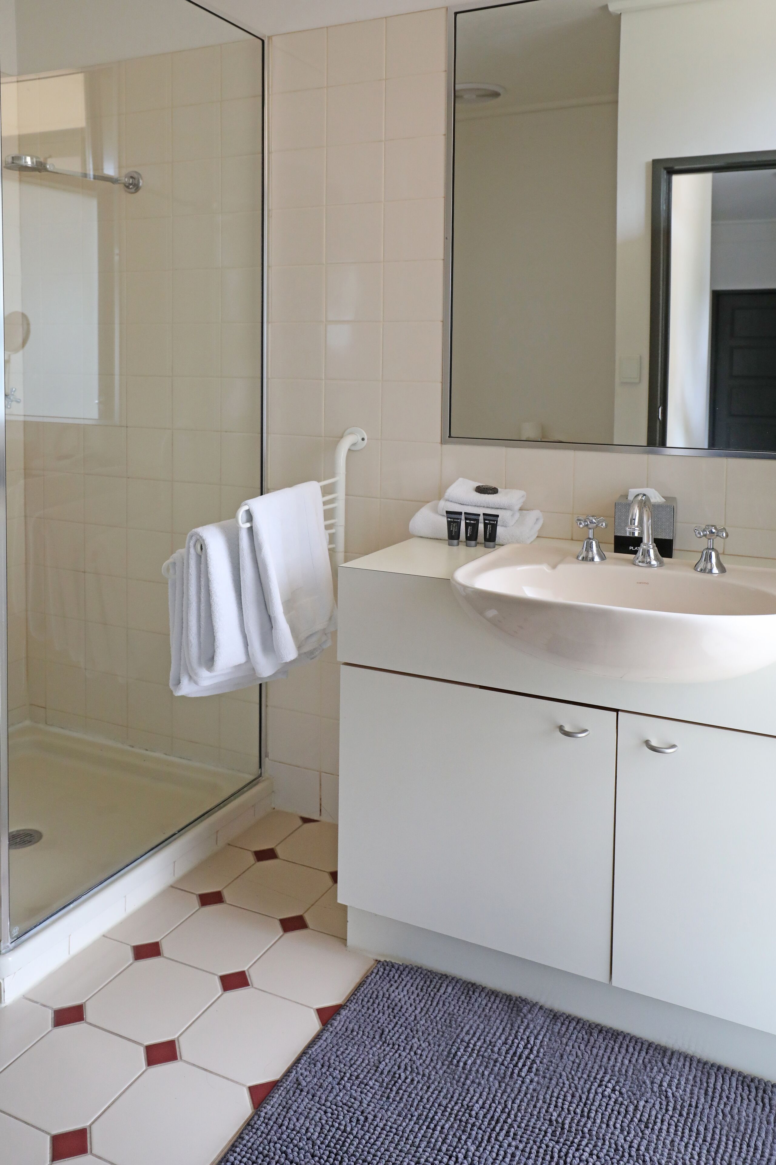 Une salle de bain dotée d’une douche à parois de verre, d’un lavabo blanc avec un miroir au-dessus, et d’un sol carrelé orné d’un motif géométrique.