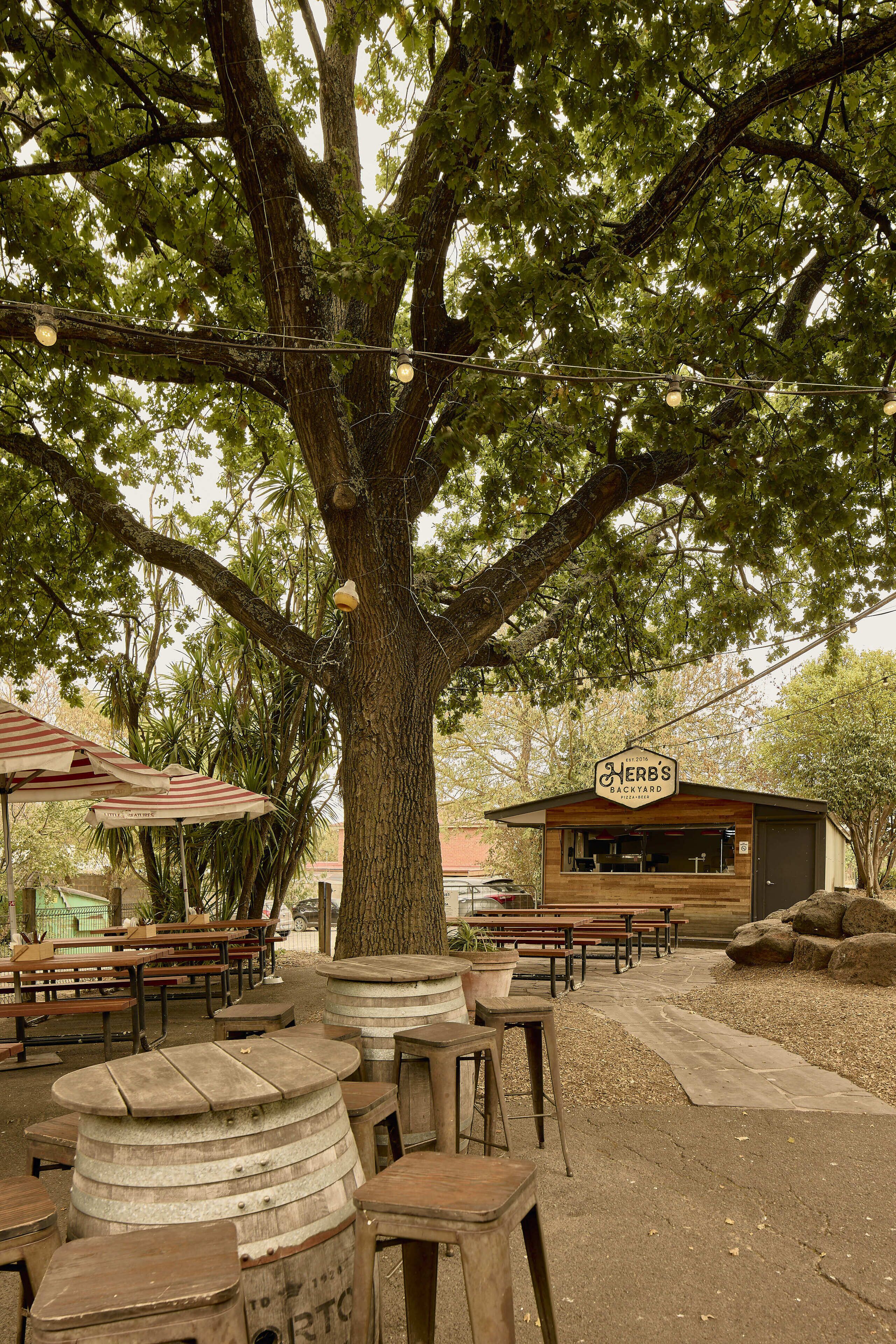 A rustic outdoor seating area with wooden tables and barrels, a large tree, and a small building labeled "Herbs Backyard".