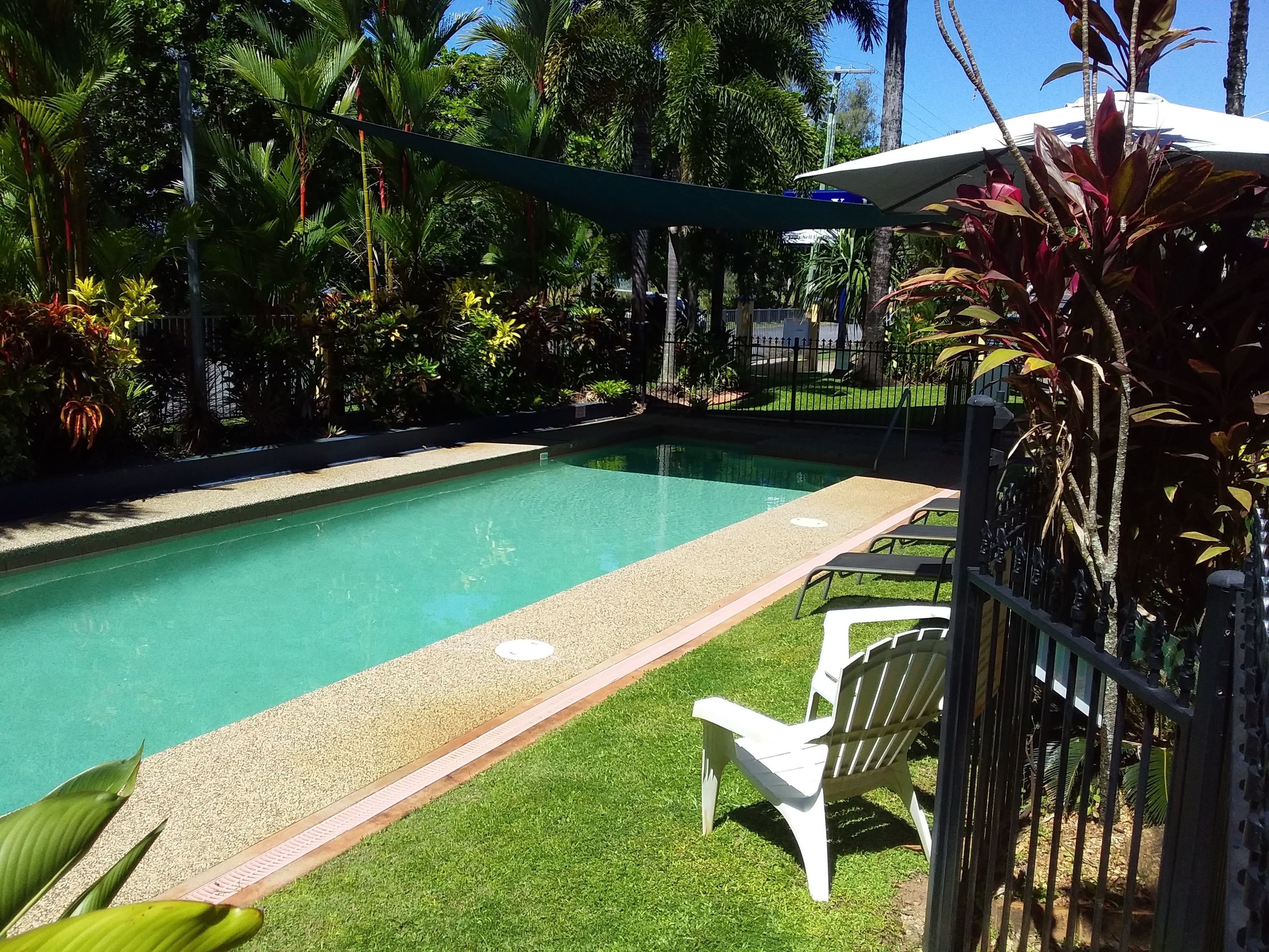 A swimming pool with a clear blue water, surrounded by lush greenery and a few white lounge chairs.