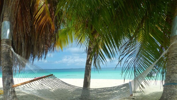 Playa