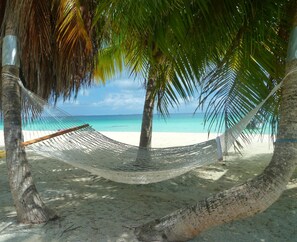 Unclassified image, 3 of 58, button - Pension Hotu (Tikehau)