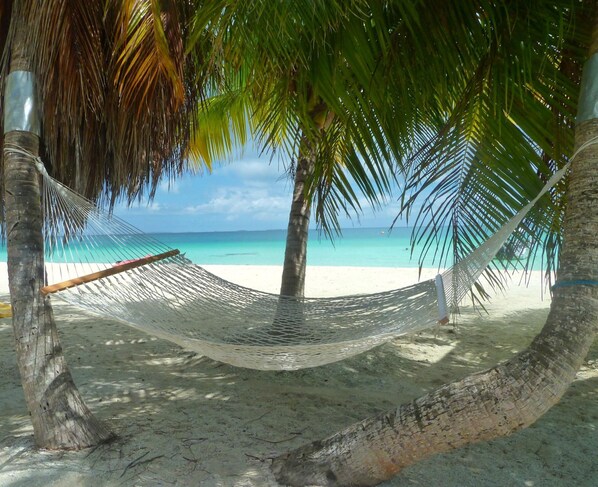 On the beach, white sand, sun loungers, scuba diving