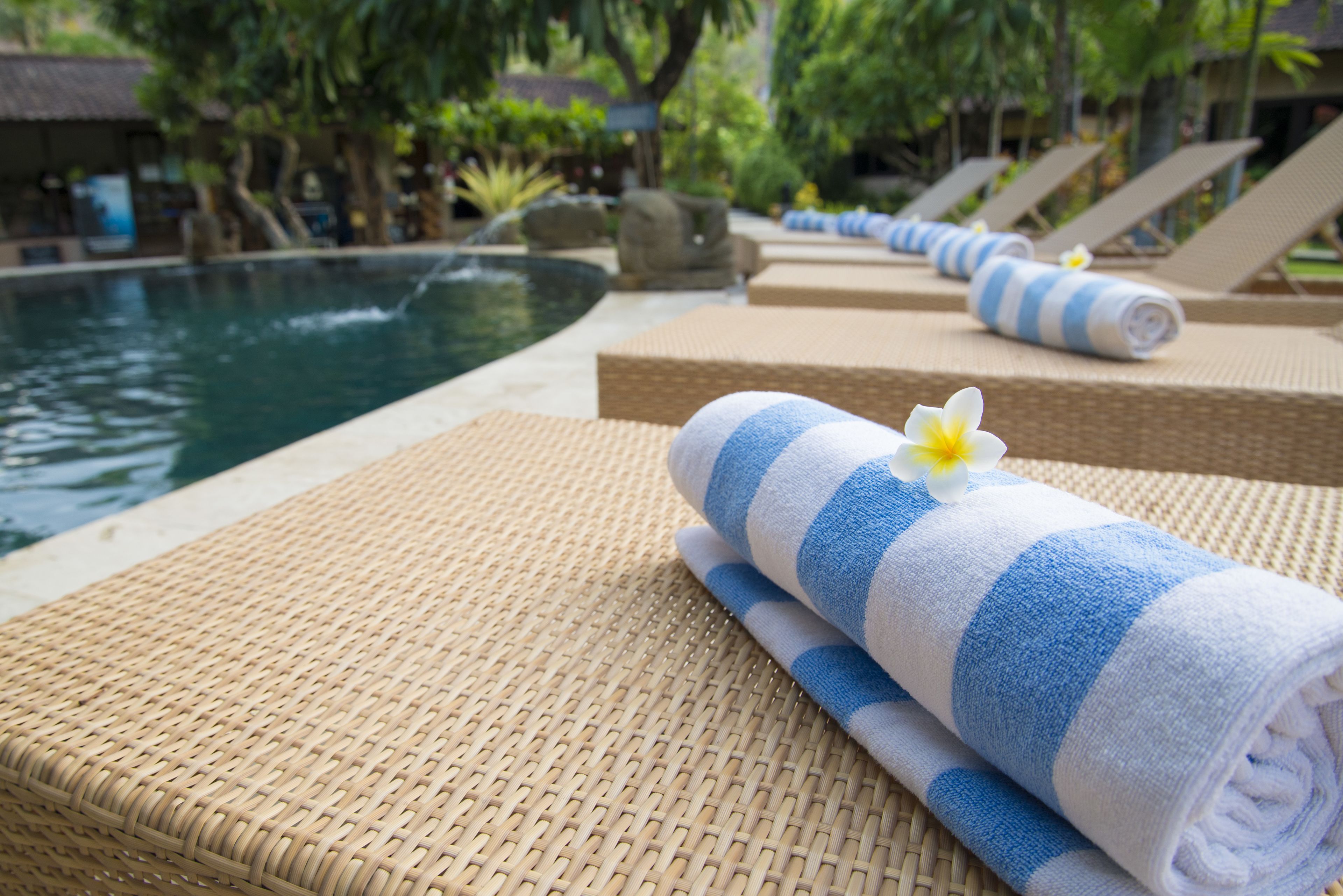 outdoor pool, pool loungers