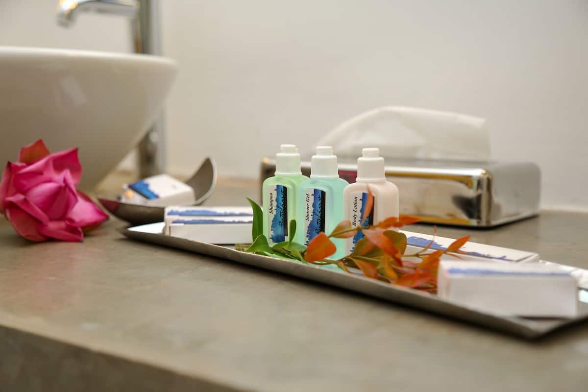 free toiletries, hair dryer, bathrobes, bidet