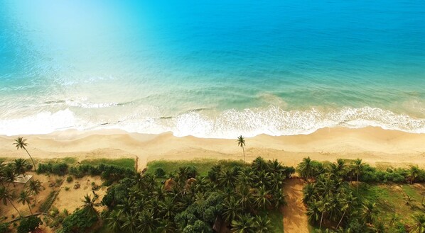 Plage, sable blanc, beach-volley, bar de plage