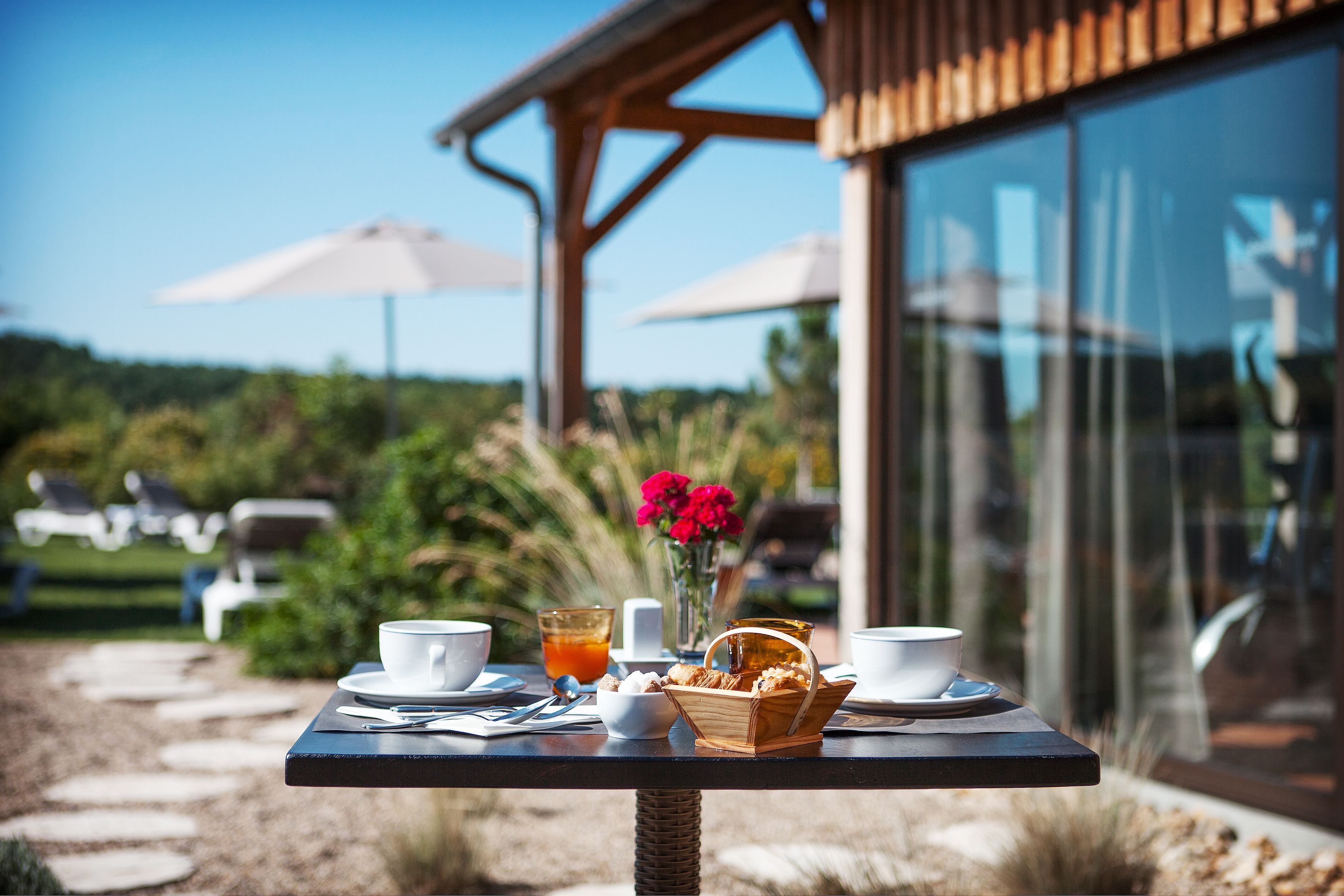 テラス / パティオ