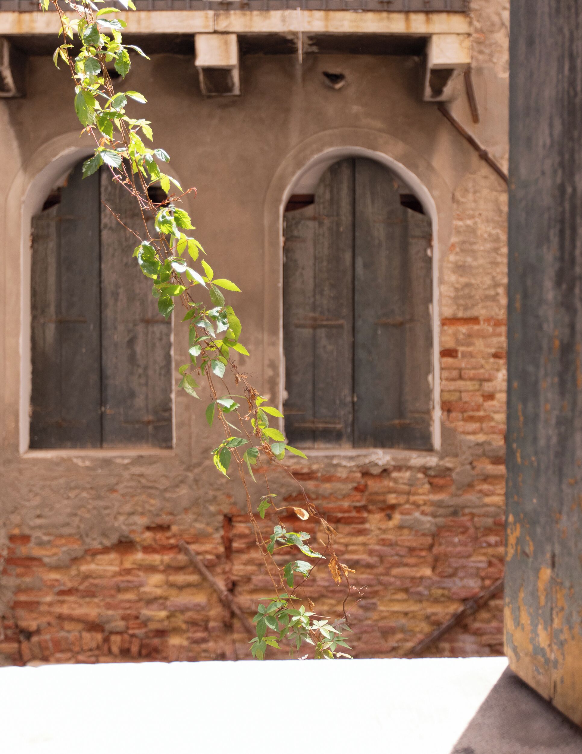 Foto - Palazzetto Pisani Grand Canal