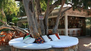 A circular outdoor seating area with a stone wall, surrounded by wooden chairs and tables, under a large tree with a sign on it. - Okaliptus Hotel (Bodrum)