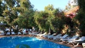 A swimming pool with lounge chairs and trees around it. - Okaliptus Hotel (Bodrum)