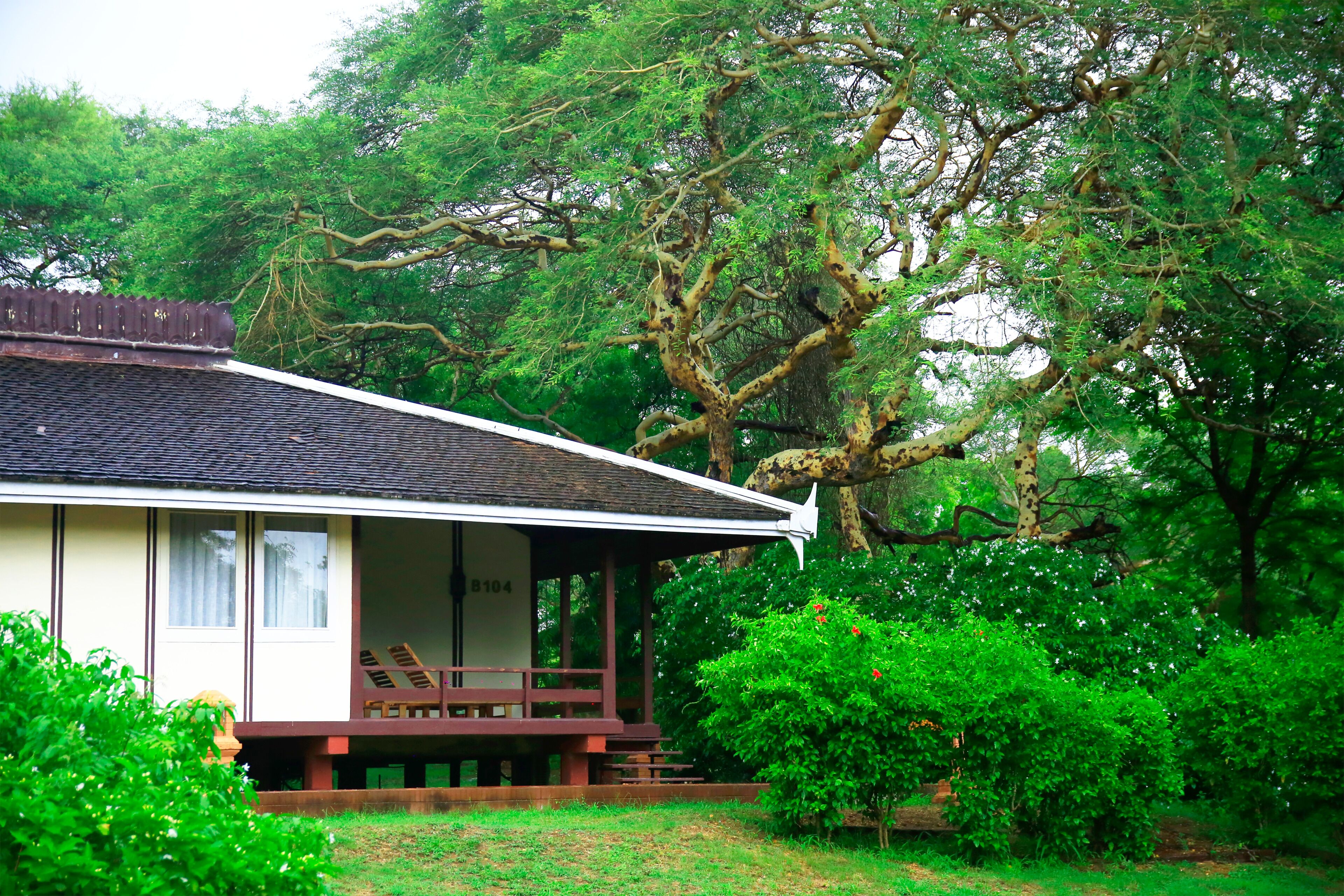 deluxe room, garden view | bathroom | combined shower/bathtub, free toiletries, hair dryer, towels