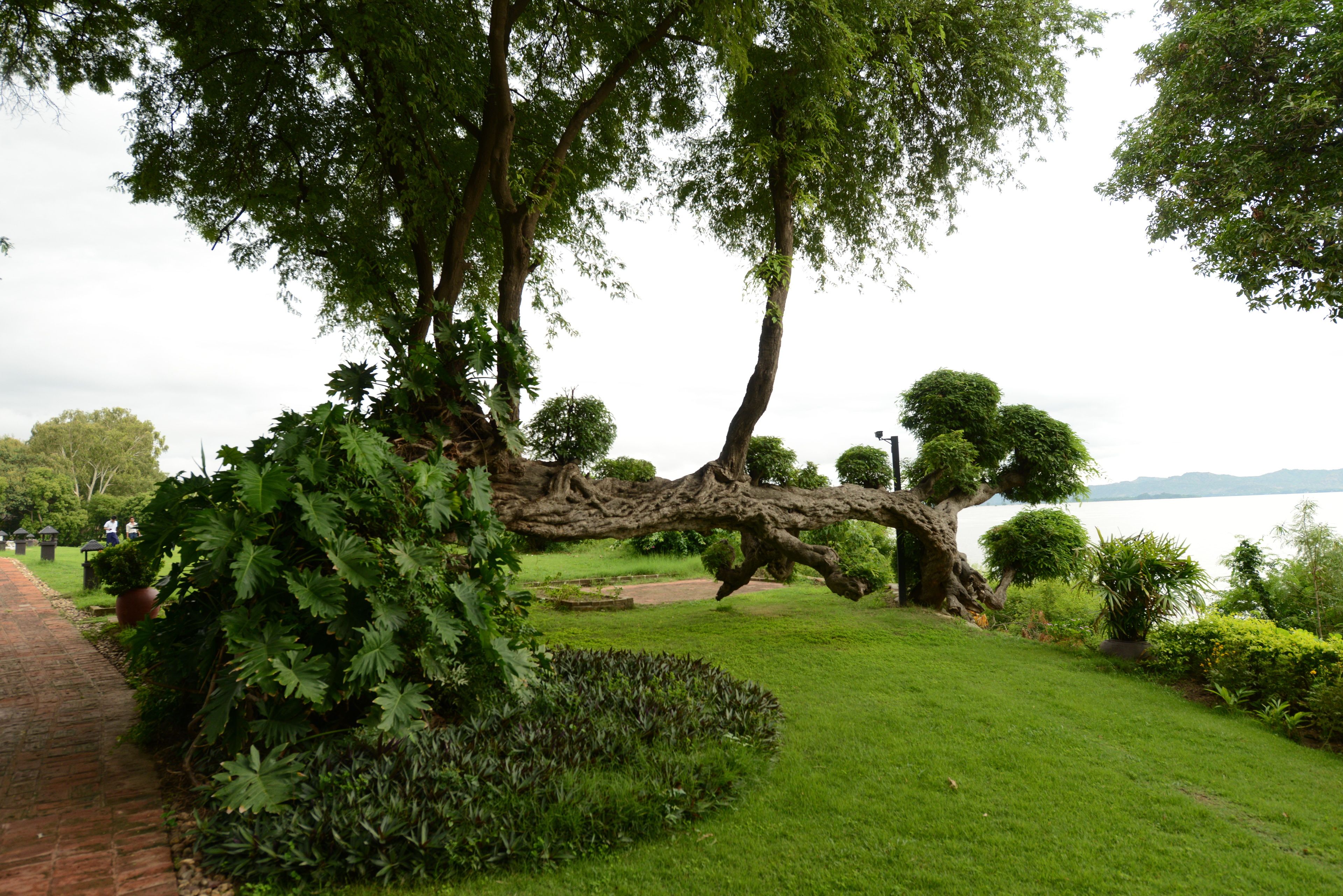 premier river view suite room | view from room