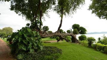 Um parque com uma árvore caída, um caminho de tijolos e um lago ao fundo.