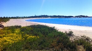 Une plage avec une eau d’un bleu limpide, un rivage sablonneux et une végétation luxuriante au premier plan.