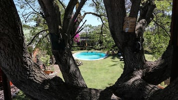 Una piscina al aire libre, sillones reclinables de piscina