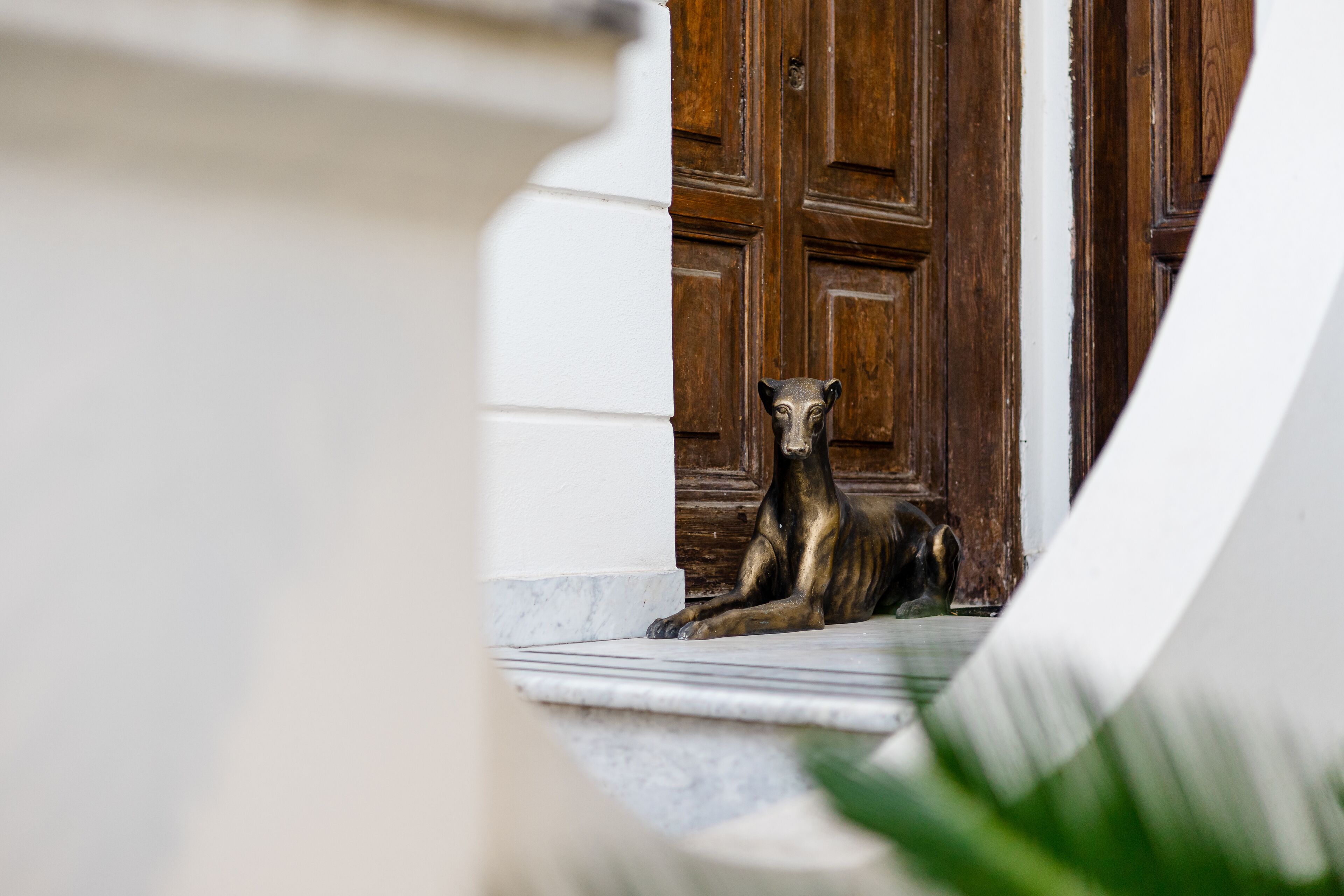 A bronze statue of a dog in front of a wooden door.