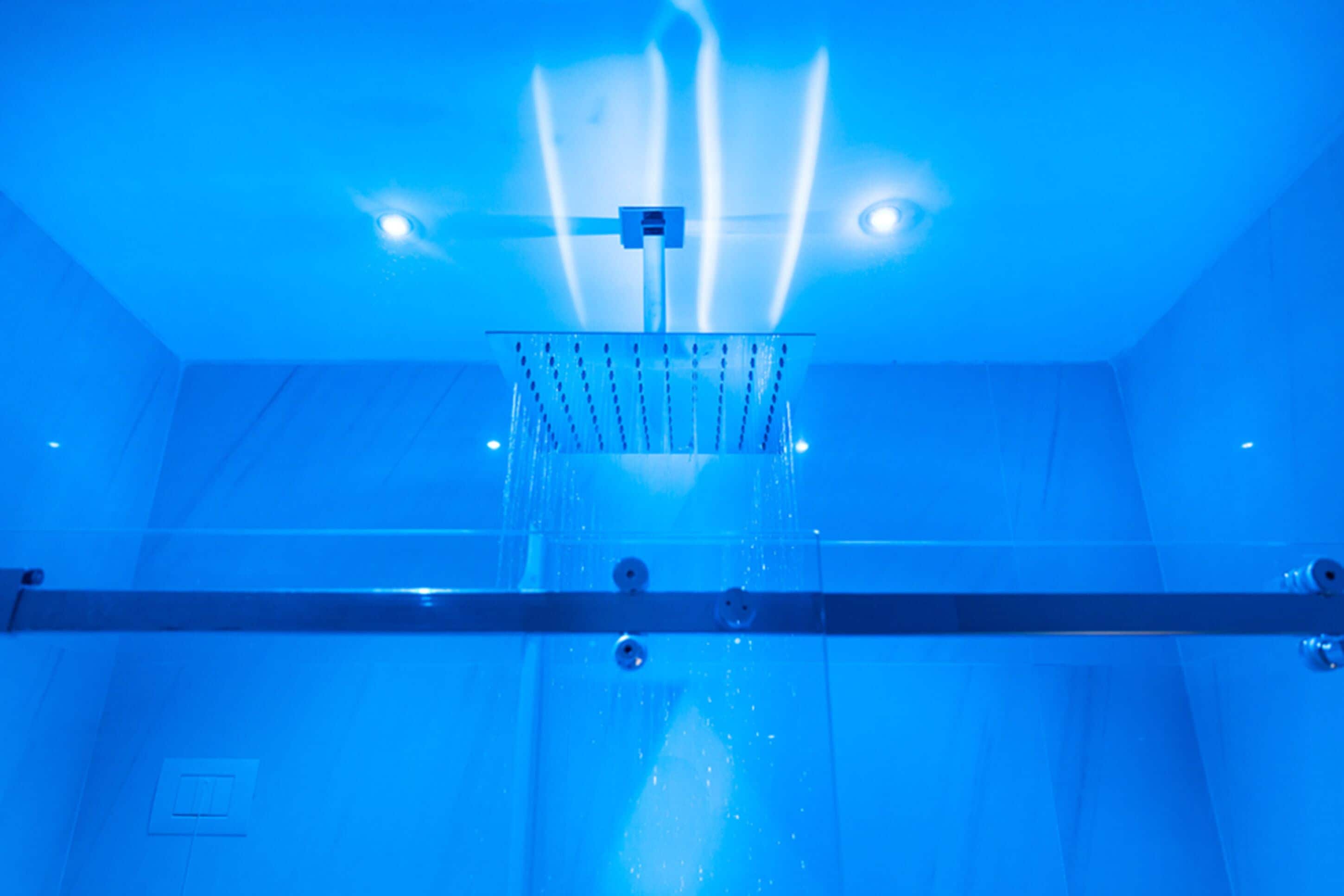 suite | bathroom | shower, free toiletries, hair dryer, slippers