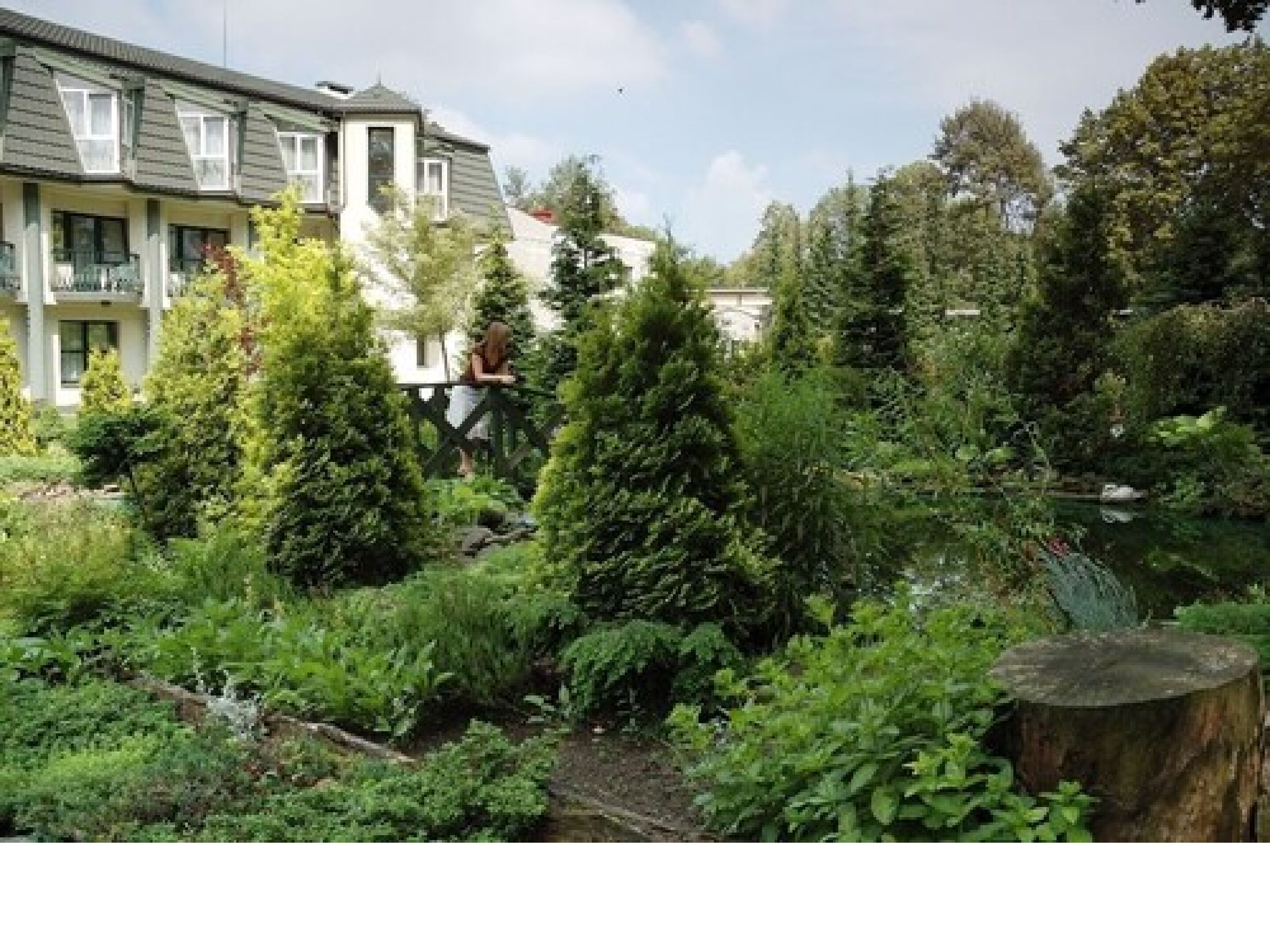 Un barrio residencial con una casa, abundante vegetación y un estanque.