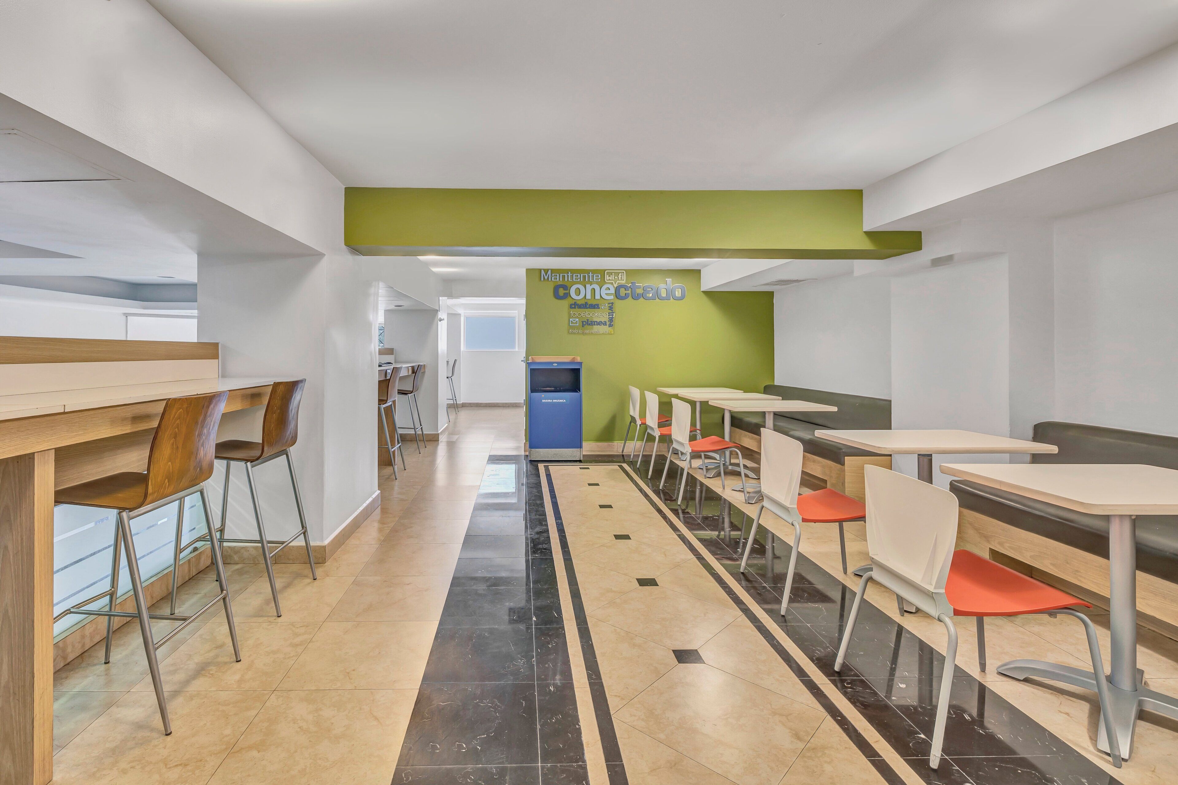 Una cafetería moderna con una barra larga, asientos individuales y una pared verde decorativa.