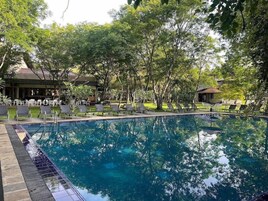 Outdoor pool, sun loungers