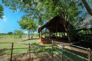 Àrea exterior de l'allotjament