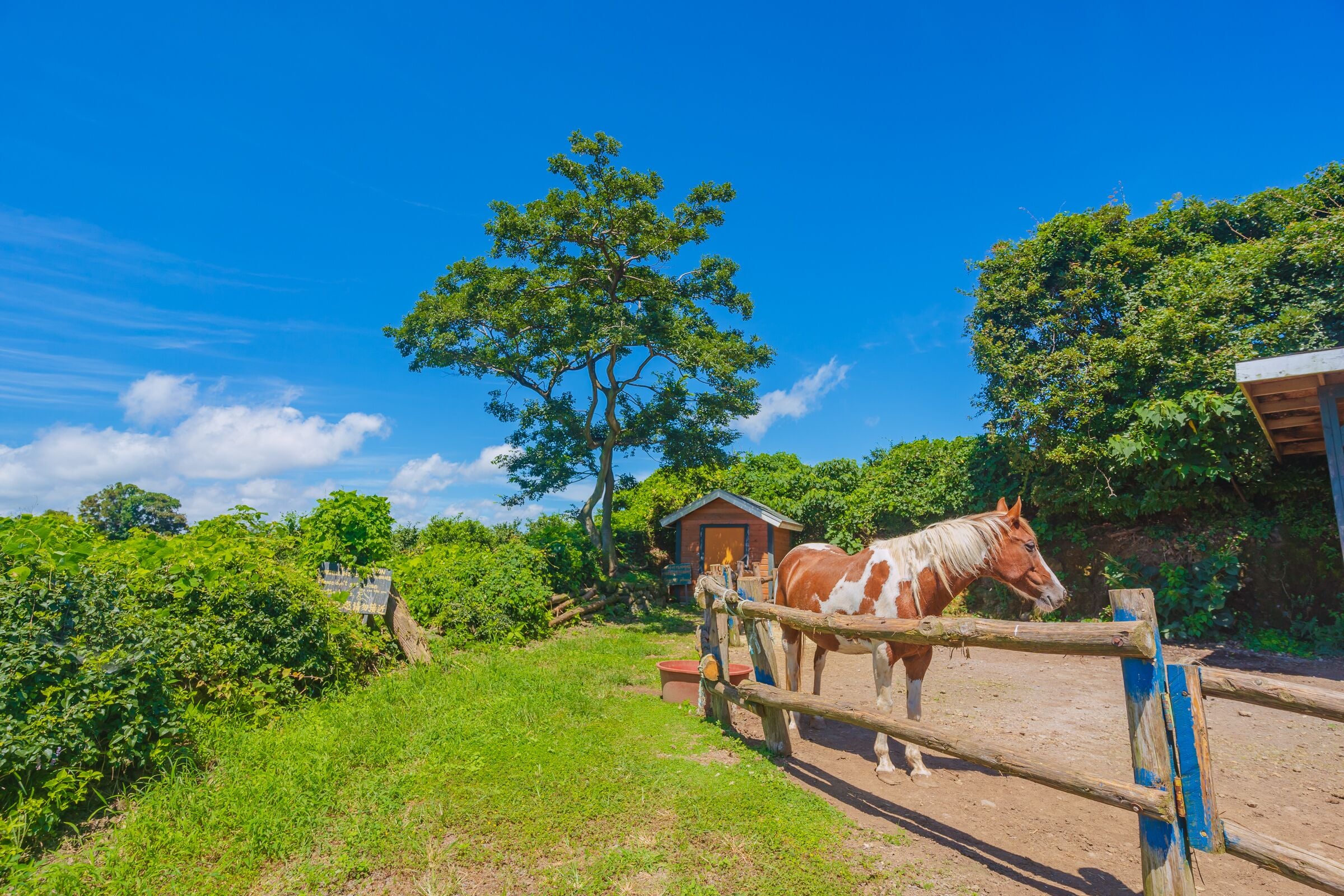 vintage deluxe villa | desk, blackout curtains, iron/ironing board, free wifi