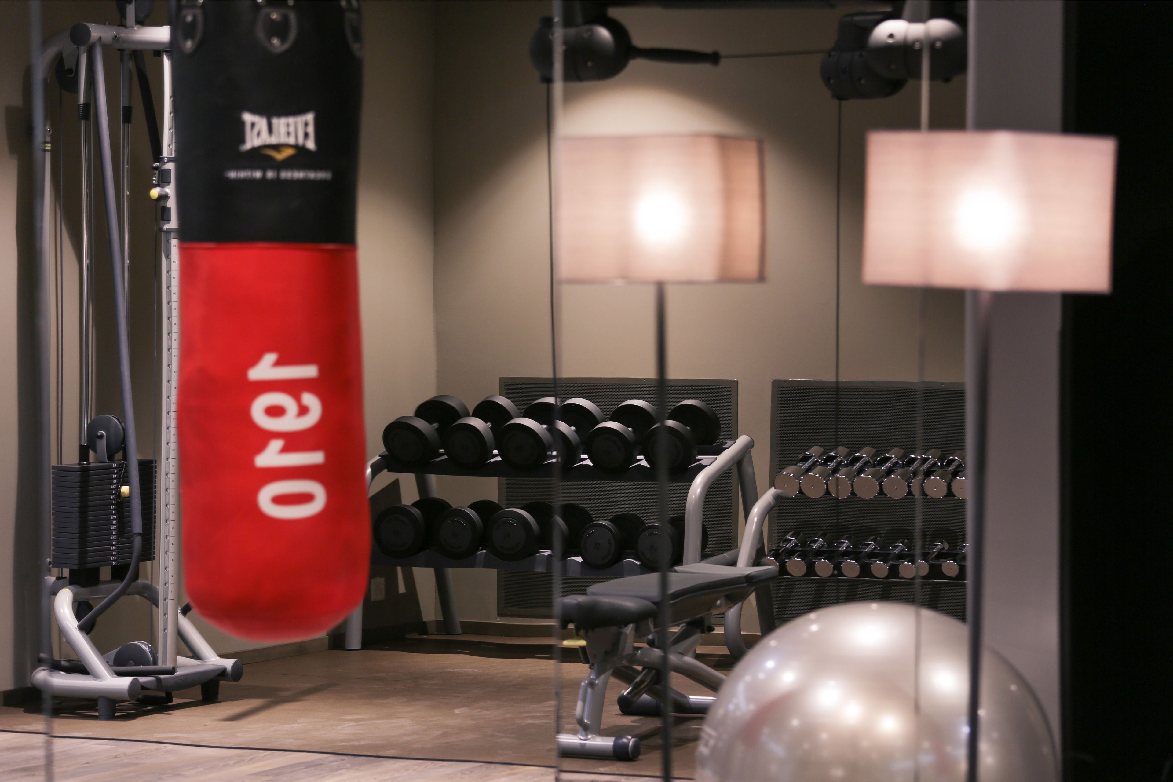 A gym with exercise equipment, a punching bag, and a rack of dumbbells.