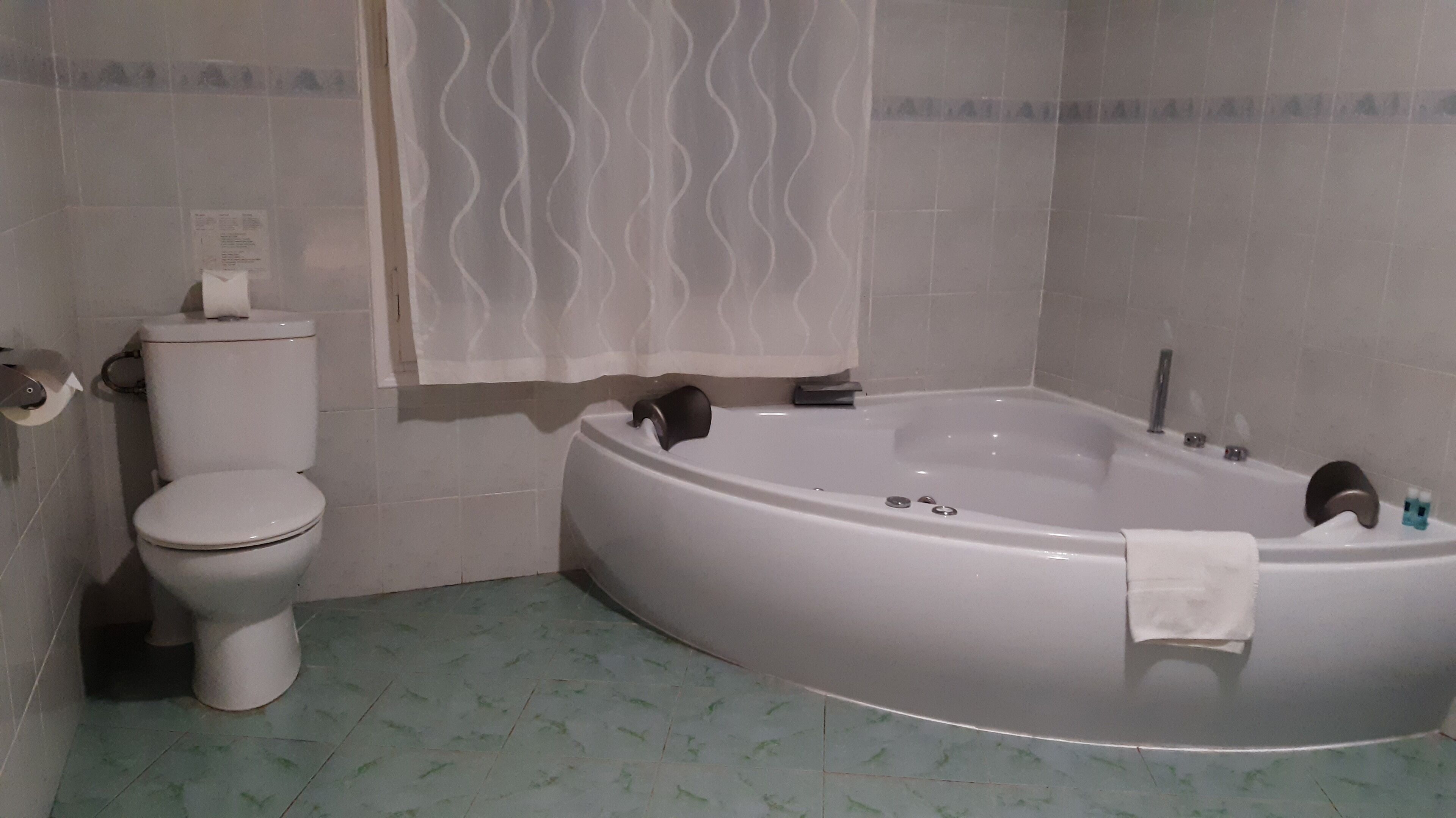 Een badkamer met toilet, bad en douchegordijn.
