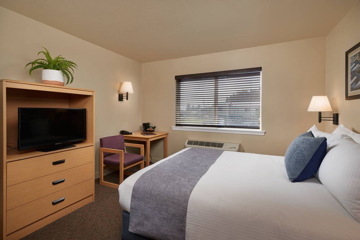 A hotel room with a bed, a TV on a wooden dresser, a desk with a chair, a window with blinds, and a wall-mounted lamp.