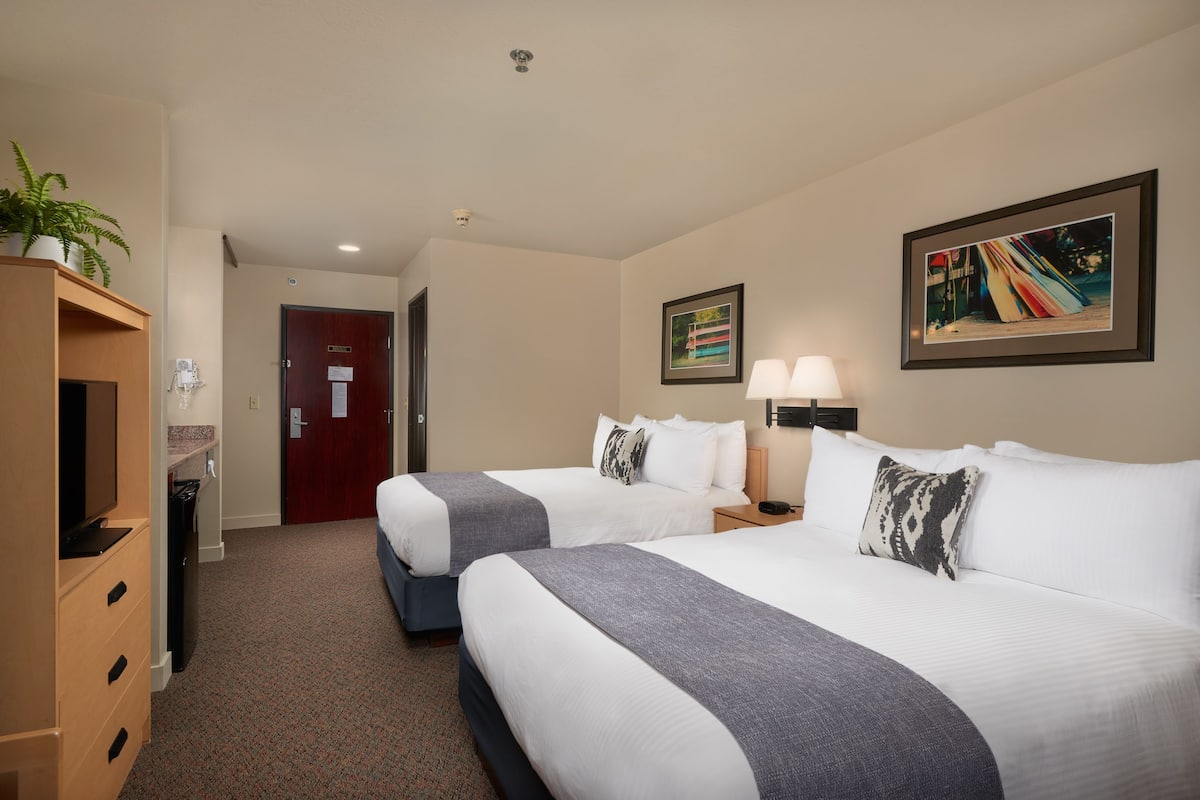 A hotel room with two beds, a desk, a TV, a plant, and a painting on the wall.