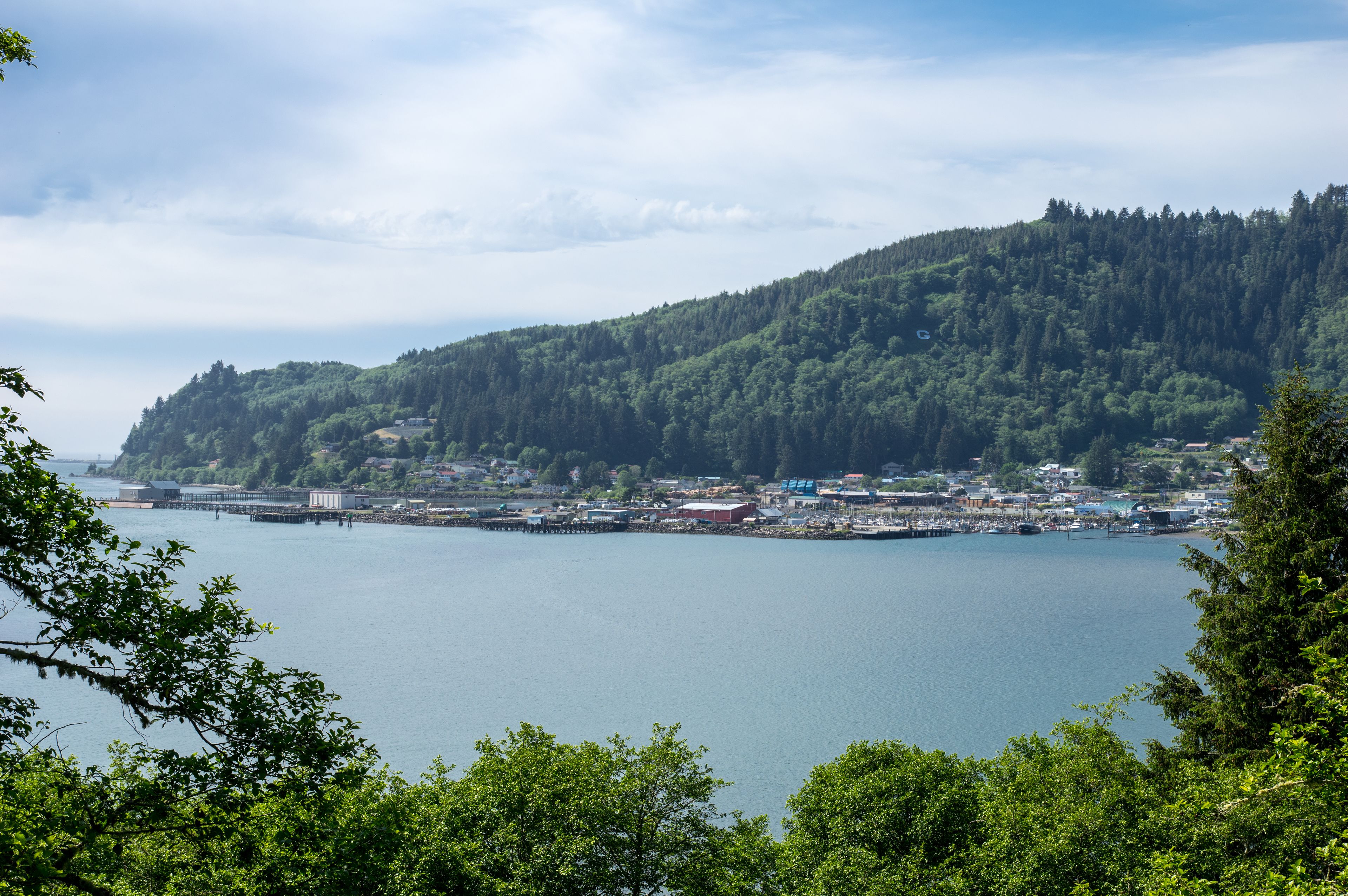 A coastal town with a marina, dense forested hills, and a clear sky.