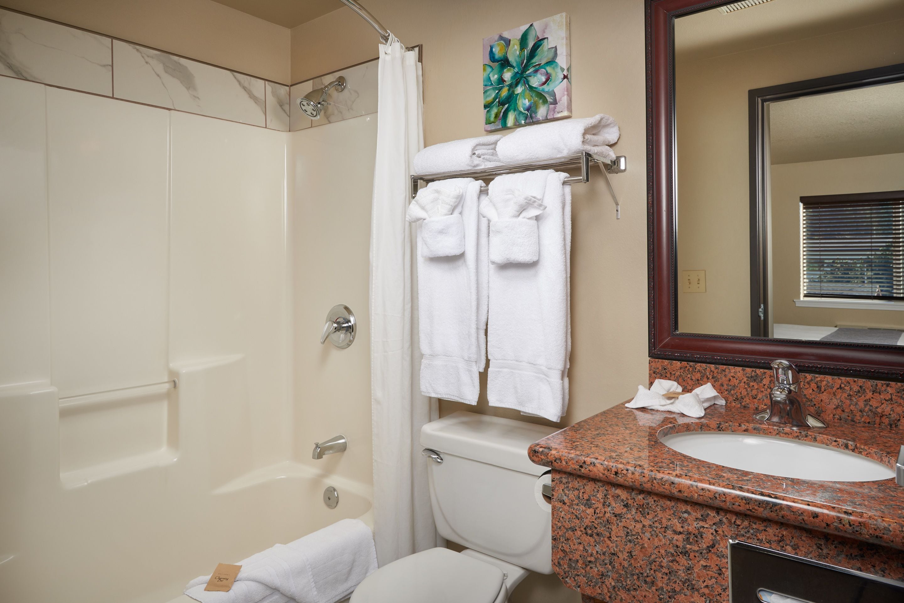 deluxe room, 1 queen bed | bathroom | combined shower/bathtub, hydromassage showerhead, designer toiletries