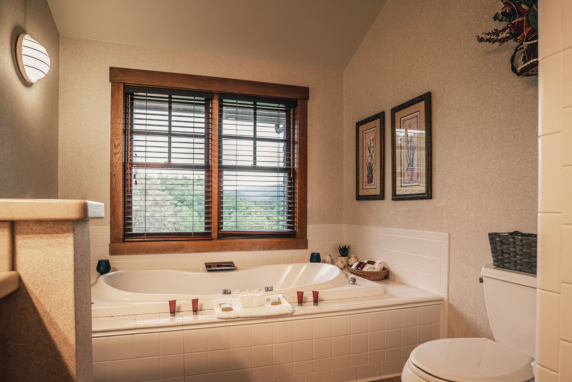 deluxe room, 1 king bed, non smoking, mountain view (11) | jetted bathtub