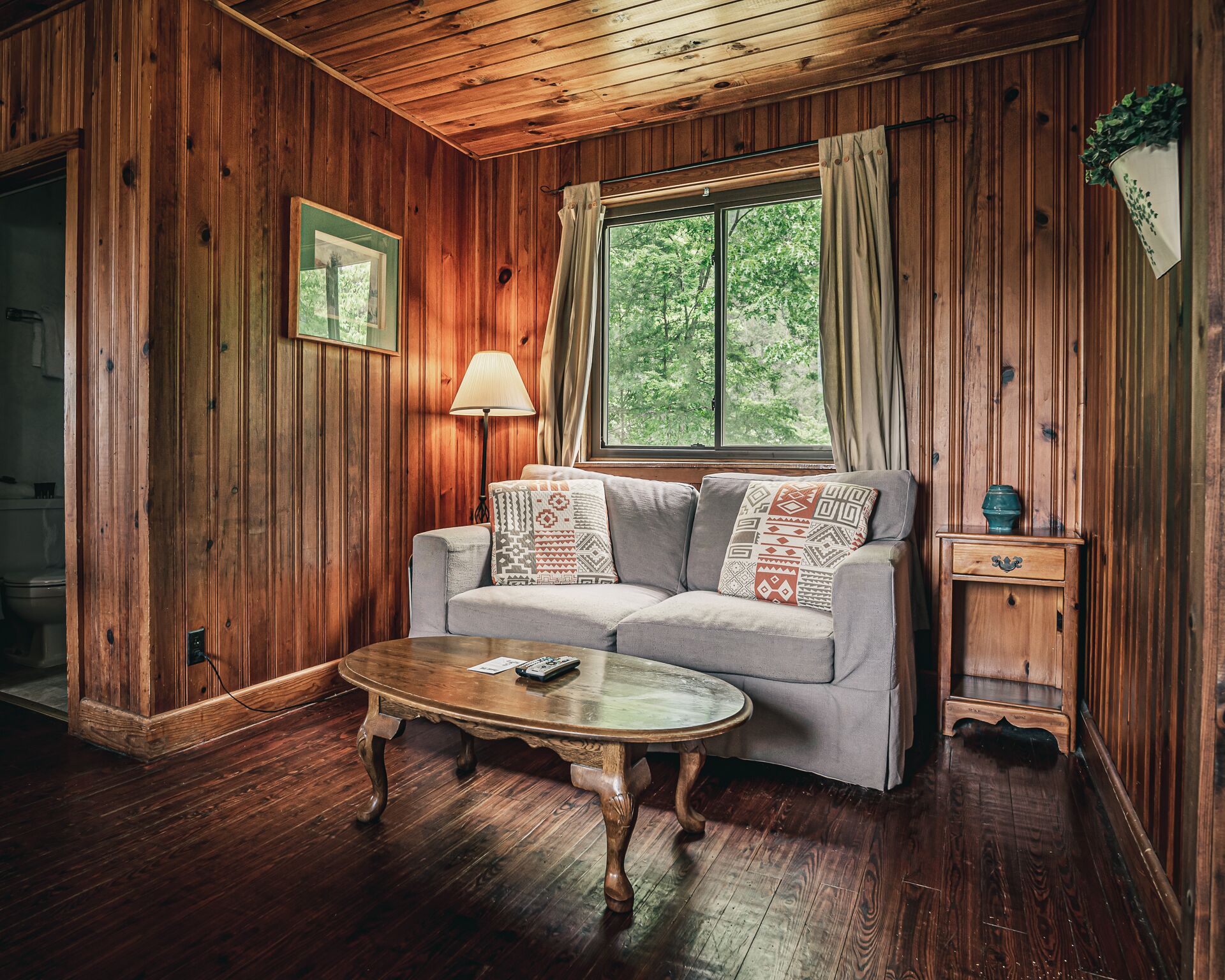 traditional cabin, 1 king bed, non smoking, mountain view (23) | living area | table football