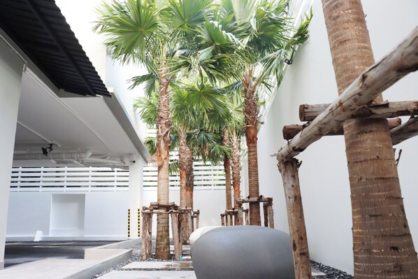 Garden - UTD 8 Hotel & Residence (Bangkok)