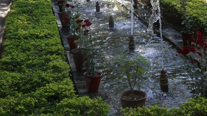 Ein Garten mit einem Wasserspiel, Blumentöpfen und einem Weg.