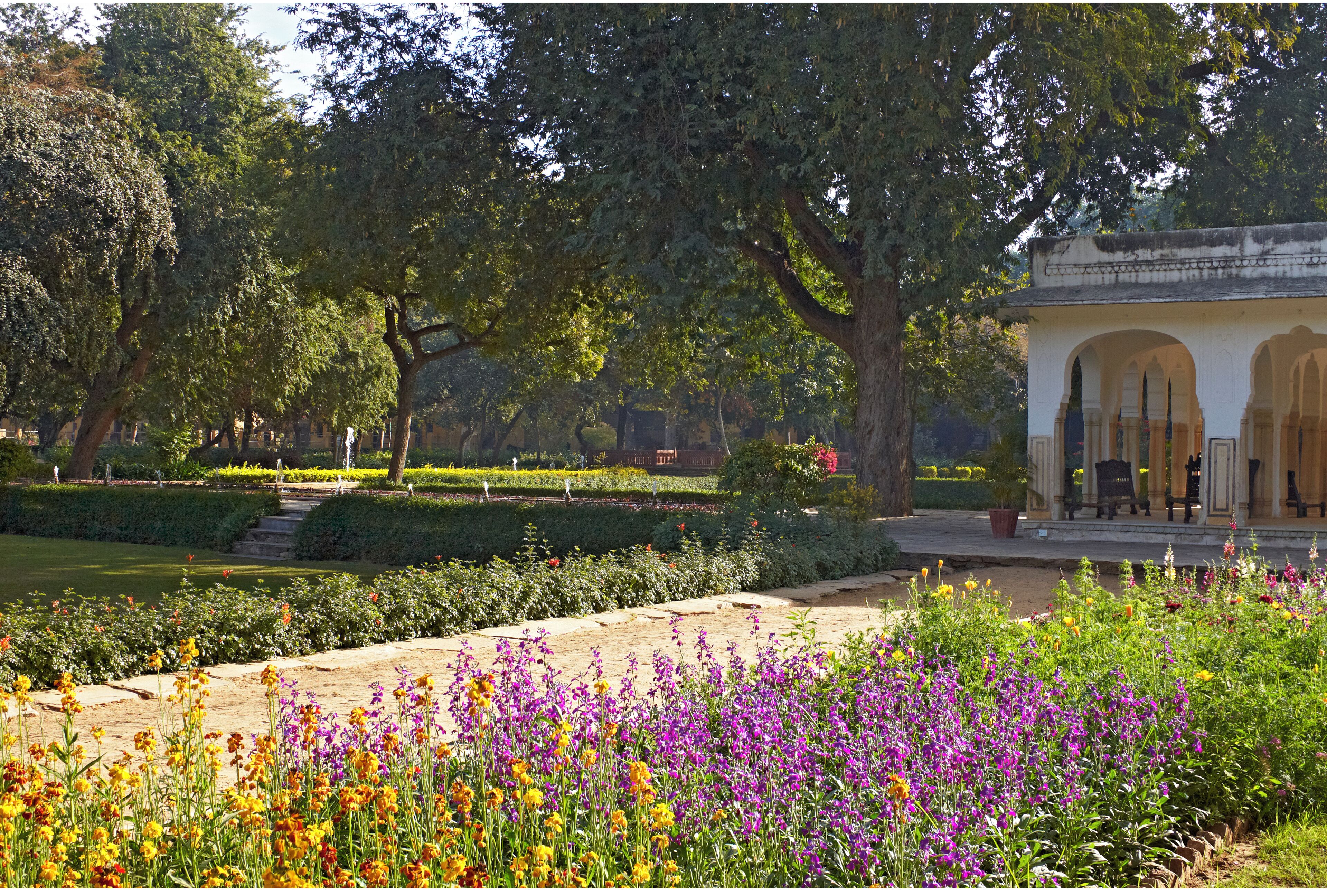 Garden