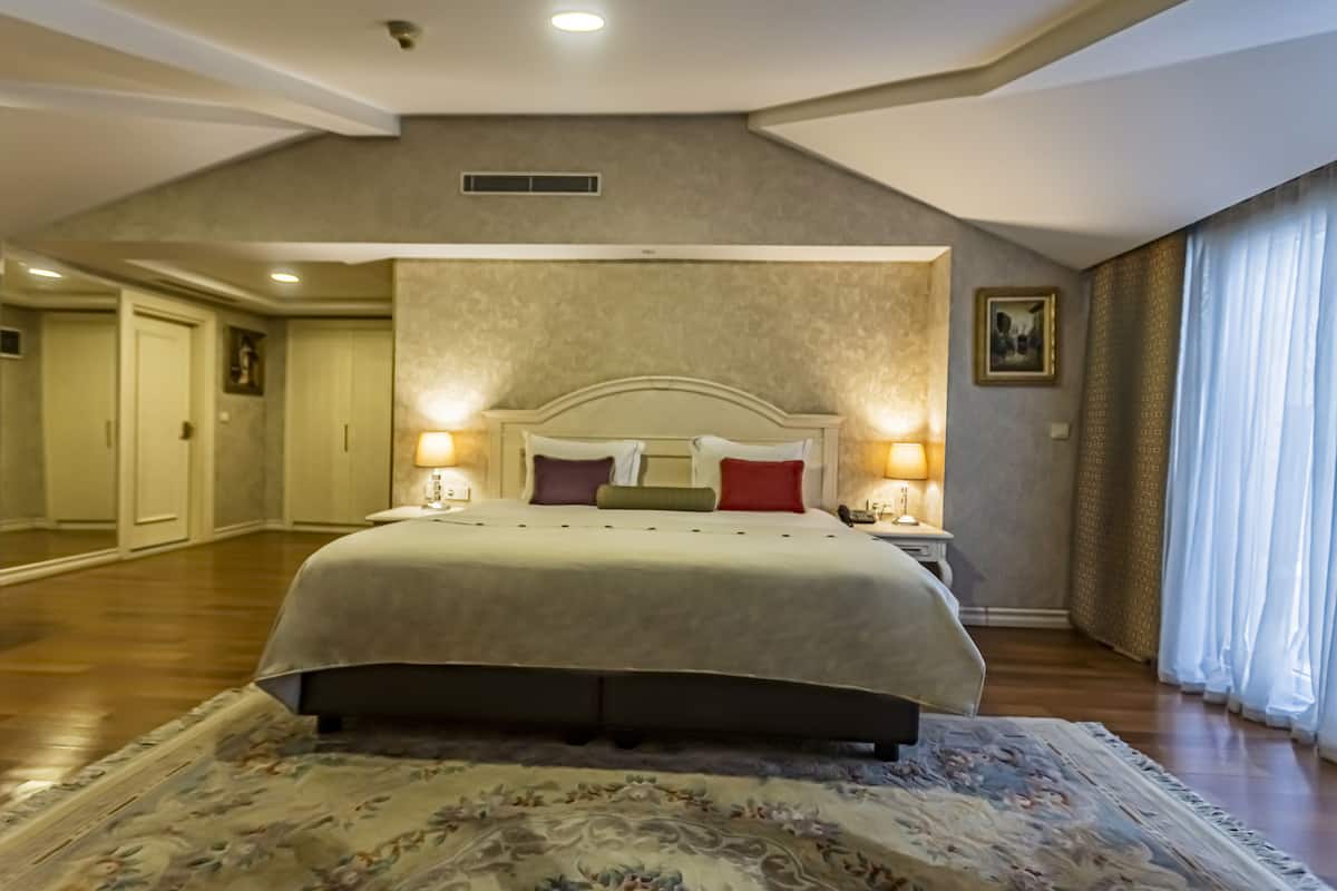 A spacious bedroom with a large bed, a walk-in closet, and a view of the outdoors.